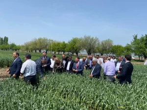 image-1714134281_1000285193