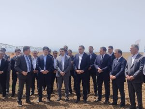 image-17142204704740743589_1200x630