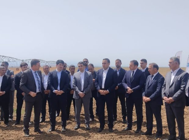 image-17142204704740743589_1200x630