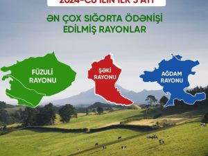 image-1714474731326443562_1200x630