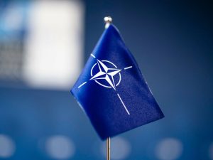 image-20220515_gaf_u39_242-pic_32ratio_900x600-900x600-23621