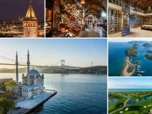 image-311599_uy9boczoew