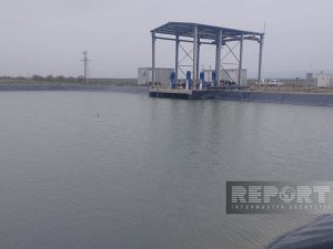 image-42f0bd05-a817-3d94-b1c3-c43d15b06dcc_850