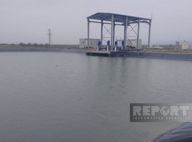 image-42f0bd05-a817-3d94-b1c3-c43d15b06dcc_850