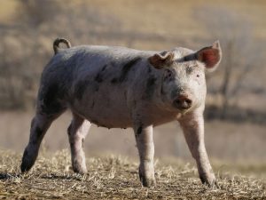 image-ap22231862223220-pic_32ratio_1200x800-1200x800-48929