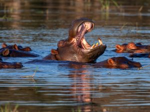 image-depositphotos_391021854_xl-pic_32ratio_900x600-900x600-84688
