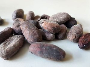 image-photo_2023-04-06_17-20-pic_32ratio_900x600-900x600-80289