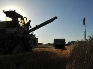 image-ria_2456429-pic_32ratio_900x600-900x600-15907