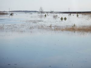 image-ria_8662780-pic_32ratio_1200x800-1200x800-71432