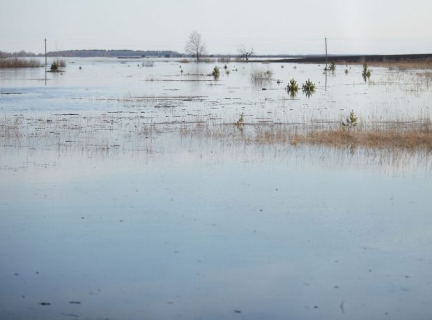 image-ria_8662780-pic_32ratio_1200x800-1200x800-71432