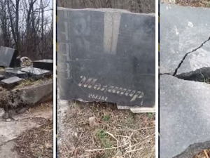 image-screenshot_1_01