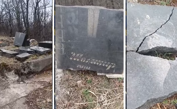 image-screenshot_1_01