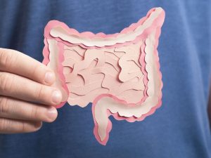 image-shutterstock_1984197083-pic_32ratio_900x600-900x600-59379