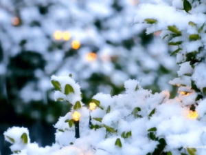 image-1682424073_1682424044041