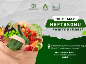 image-1715841191207972085_1200x630