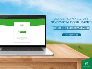 image-17162939891036763704_1200x630-2