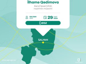 image-17163544036544065339_1200x630