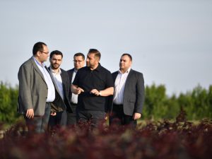 image-17164928385414442171_1200x630