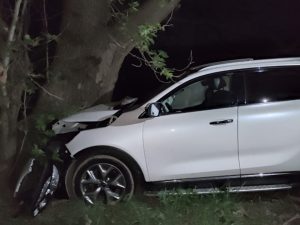 image-17169315411254354412_1200x630