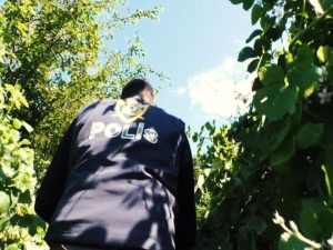 image-1717044217937728376_1200x630