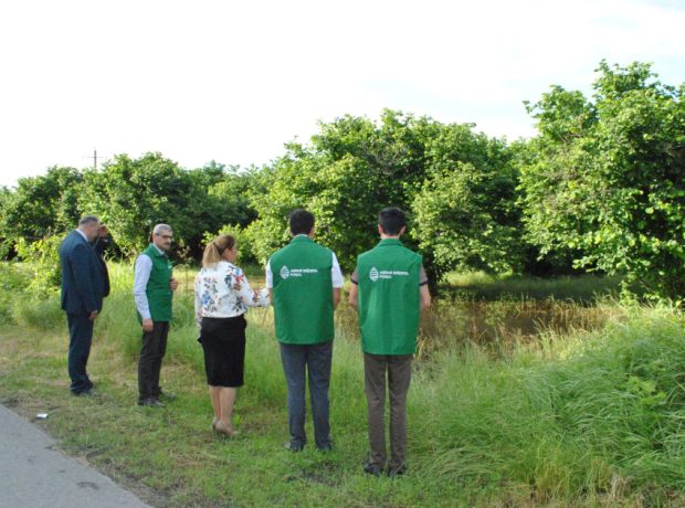 image-17170694903463062354_1200x630