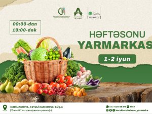 image-17170696285985561201_1200x630