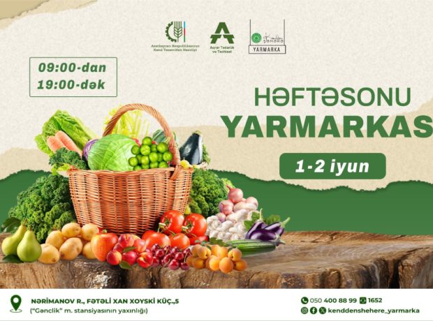 image-17170696285985561201_1200x630