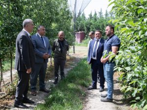 image-1717145790394714889_1200x630