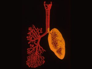 image-19901205_gaf_u57_008-pic_32ratio_1200x800-1200x800-17970