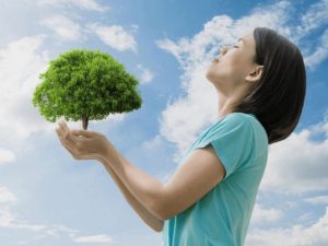 image-22334eb5d65e5286825e2190c70fb29f