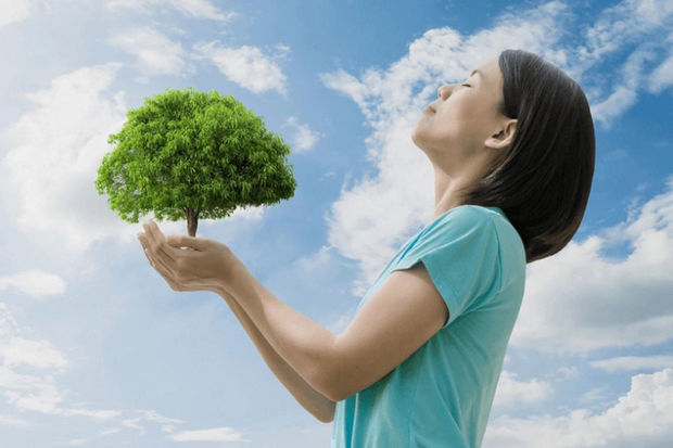 image-22334eb5d65e5286825e2190c70fb29f