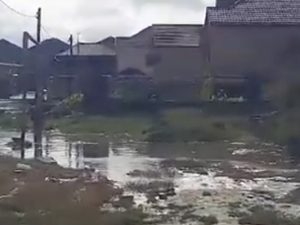 image-41680_y7a8ybaar6