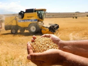 image-bppbdem3xrkpwc2xlsj4fr59pf5c0xk9jikljat8_640