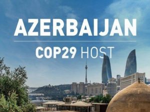 image-cop998