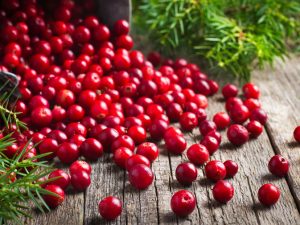 image-depositphotos_84490730_xl-2015-pic905-895x505-44333