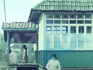 image-dv3a87hbrgwbev1hky918tfnfudr7imi1adihxpa_640