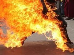 image-h51mn5wmmwiwvulu8cvx89u2euo6sooesaerimau_640