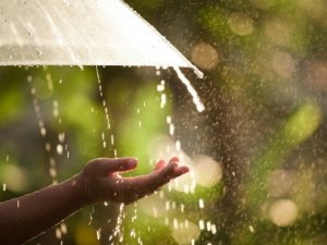 image-1630493284602958373_1200x630