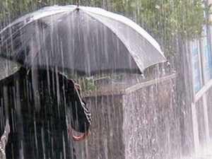 image-1688727126_275712