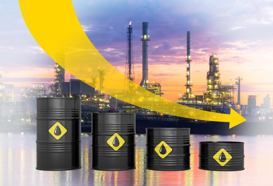 image-17016718696527534025_1200x630