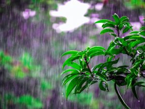 image-1715761241_1695631882_4