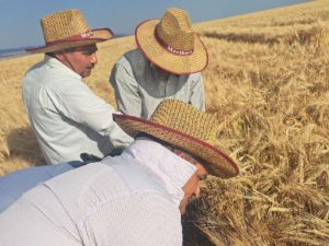 image-1717566981179523414_1200x630