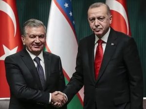 image-1717628717704223317_1200x630