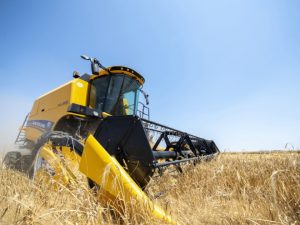 image-17176771901166212656_1200x630