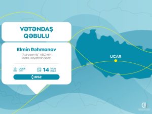 image-17177388323138939641_1200x630