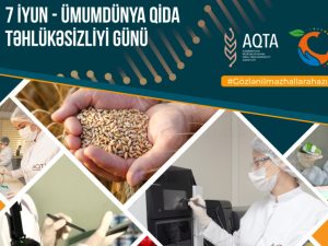 image-17177412733479922739_1200x630