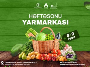 image-17177609895648410294_1200x630