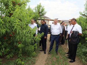 image-17178839844129860018_1200x630