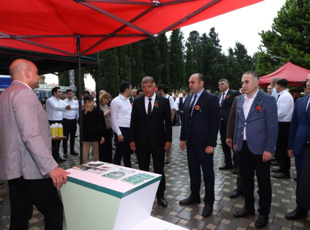 image-1718032760952635525_1200x630