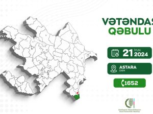 image-17180835751934451706_1200x630